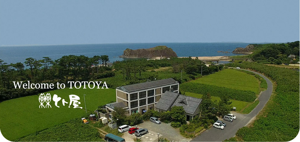 welcome to TOTOYA