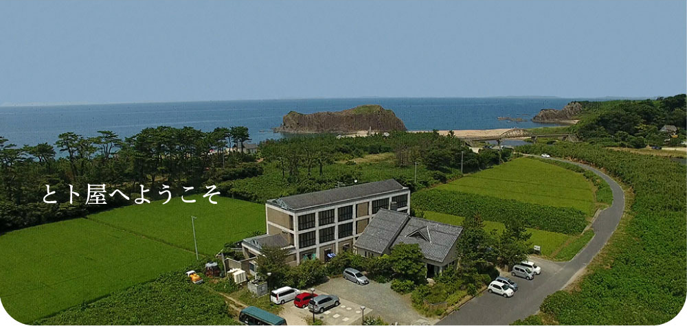 welcome to TOTOYA