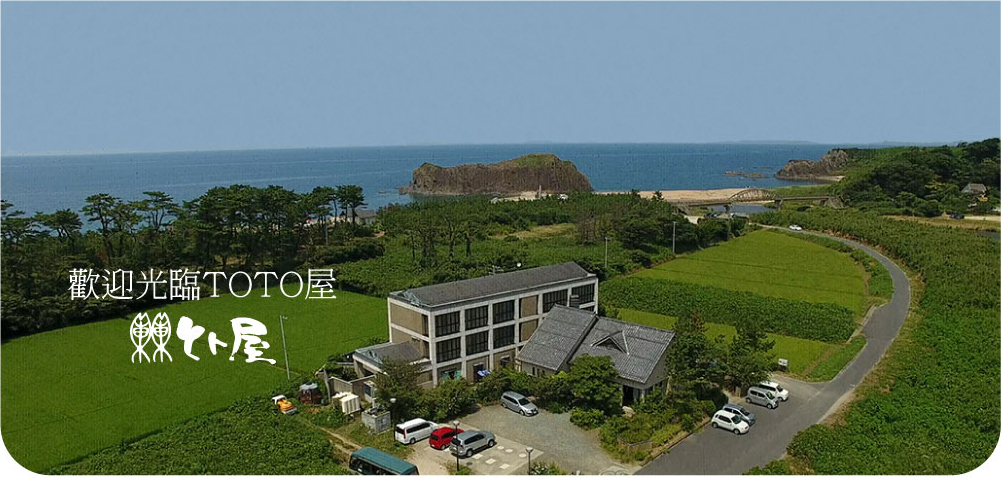 welcome to TOTOYA